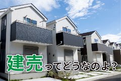 安っぽい家ってどんな家？