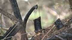 【香川】17歳の男子高校生を放火の疑いで逮捕【他にも数件の放火の疑い】