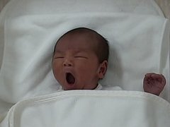 わくわく赤チャンネル見てる人いる？