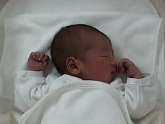 わくわく赤チャンネル見てる人いる？