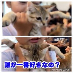 助産師HISAKO