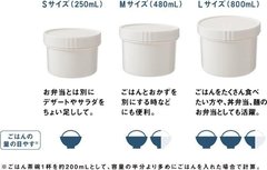 【お弁当】フルーツの汁が漏れない容器