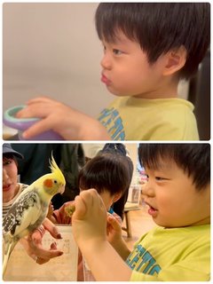 あいのり 桃