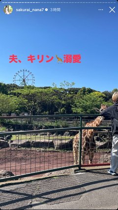 桜井奈々さんって