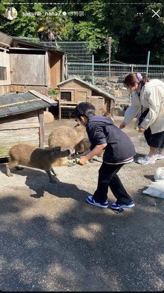 桜井奈々さんって