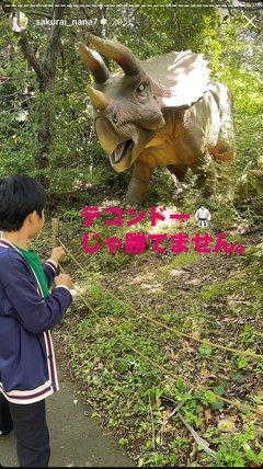 桜井奈々さんって