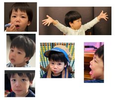 豆腐とズミと節男(雑談)