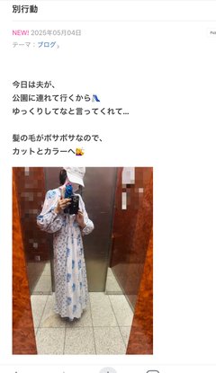 豆腐と節男と時々ズミ