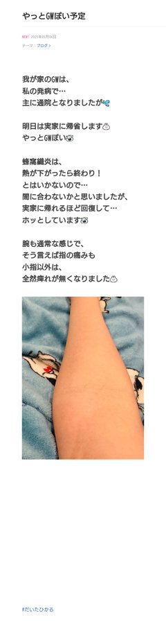 豆腐と節男と時々ズミ