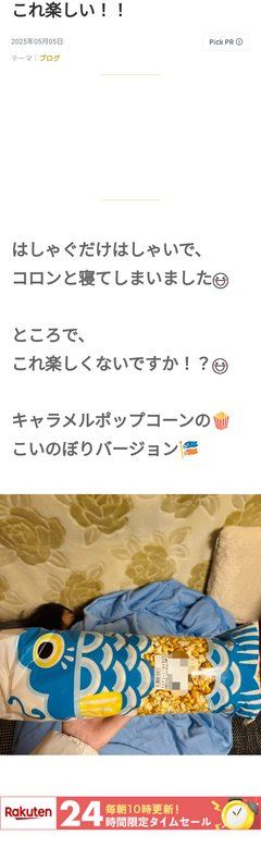 豆腐と節男と時々ズミ