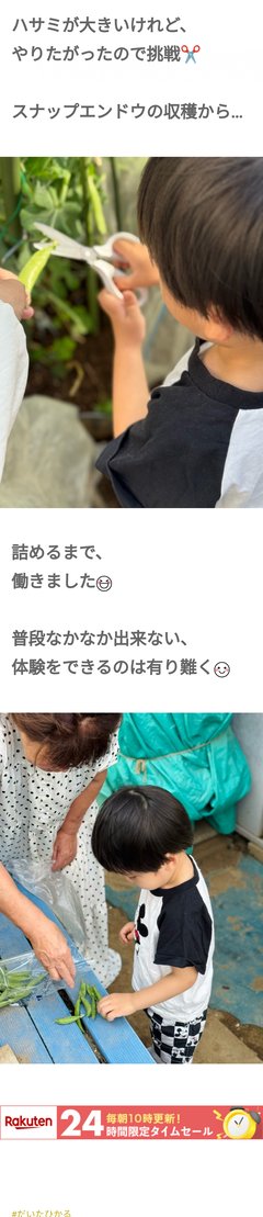 豆腐と節男と時々ズミ