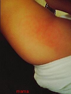 (｀･ω･´)ｼｬｷｰﾝしてから一時間以内に(´･ω･｀)ｼｮﾎﾞｰﾝされなかったら勝ち