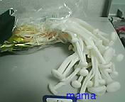 (｀･ω･´)ｼｬｷｰﾝしてから一時間以内に(´･ω･｀)ｼｮﾎﾞｰﾝされなかったら勝ち