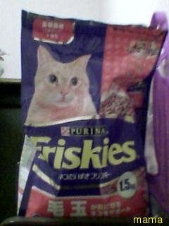 (｀･ω･´)ｼｬｷｰﾝしてから一時間以内に(´･ω･｀)ｼｮﾎﾞｰﾝされなかったら勝ち