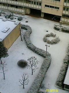 (｀･ω･´)ｼｬｷｰﾝしてから一時間以内に(´･ω･｀)ｼｮﾎﾞｰﾝされなかったら勝ち