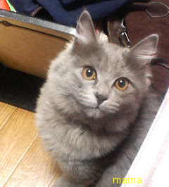 今年２１で⑫月予定の人&#x{11:F99F};仲良くなりたぃデス&#x{11:F995};&#x{11:F99B};