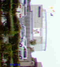 hideﾐｭｰｼﾞｱﾑ閉館&#x{11:F9D2};