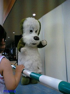 7/3にワンワンが