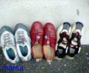 みんなが持ってるｽﾆｰｶｰはどんなの？？