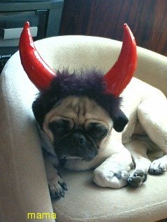 【笑いの研磨処】