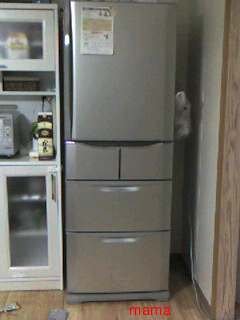 ねぇねぇなにか見せあうトピ作らない？