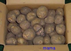 ねぇねぇなにか見せあうトピ作らない？