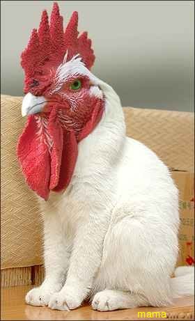 ねぇねぇなにか見せあうトピ作らない？