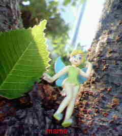 ねぇねぇなにか見せあうトピ作らない？