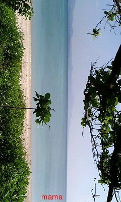 ねぇねぇなにか見せあうトピ作らない？