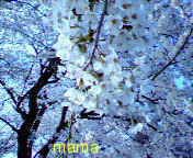 ねぇねぇなにか見せあうトピ作らない？