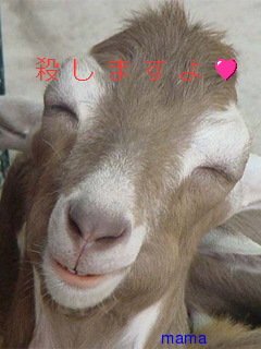 夜中になると腹減ったトピ