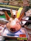 ねぇねぇなにか見せあうトピ作らない？