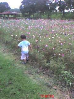 ねぇねぇなにか見せあうトピ作らない？