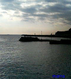 今年２１で⑫月予定の人&#x{11:F99F};仲良くなりたぃデス&#x{11:F995};&#x{11:F99B};