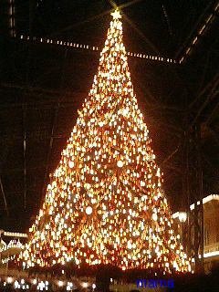 【ﾄﾞｸ部屋&#x{11:F991};】(*´艸`*)