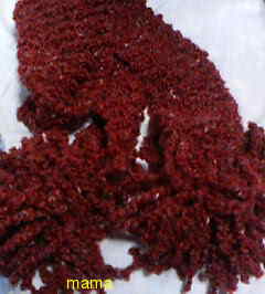 【ﾄﾞｸ部屋&#x{11:F991};】(*´艸`*)