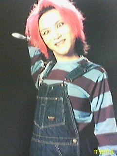 hide