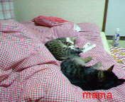 ☆友達いっぱい☆