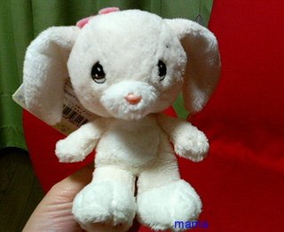 NHKおかあさんといっしょ 11月号購入された方