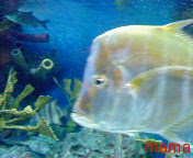 ☆友達いっぱい☆