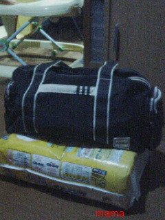 adidasとpumaのかばんもらうなら？