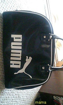 adidasとpumaのかばんもらうなら？