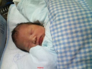 今年２１で⑫月予定の人&#x{11:F99F};仲良くなりたぃデス&#x{11:F995};&#x{11:F99B};