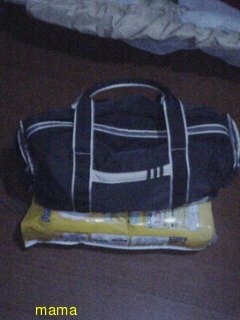 adidasとpumaのかばんもらうなら？