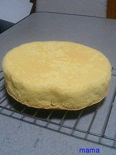 【ﾄﾞｸ部屋&#x{11:F991};】(*´艸`*)