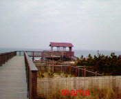 【ﾄﾞｸ部屋&#x{11:F991};】(*´艸`*)