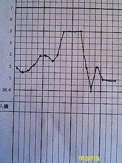 基礎体温表に詳しい方…写見てください