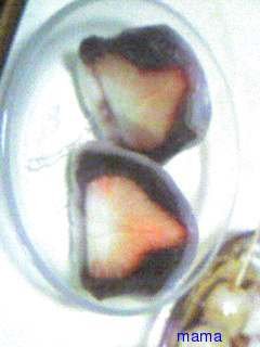 ◆長文女のレシピ集◆(*´艸`)ﾝﾏﾝﾏ～