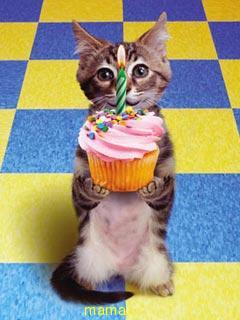 大根です。HAPPYバースデーを言ってもらいに来ました