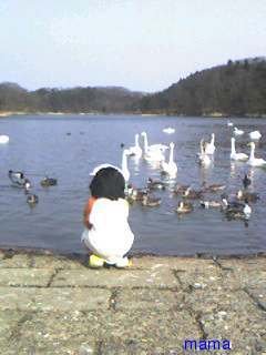 ◆長文女のレシピ集◆(*´艸`)ﾝﾏﾝﾏ～